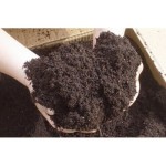 (360 Litres) Elixir Gardens | Worm Manure Castings 100% Organic Vermi Compost/Fertiliser/Potting Soil Improver Bio Humus